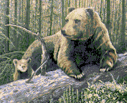 Bear and Cub